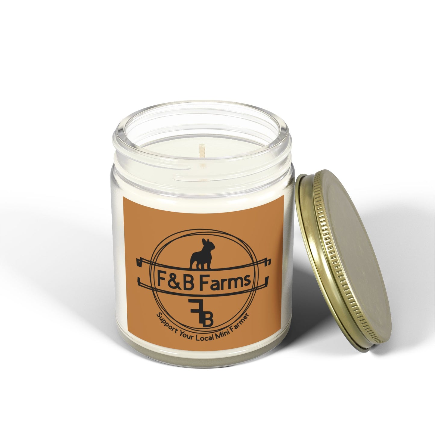 F&B Farms Scented Candles, Coconut Apricot Wax (4oz, 9oz)